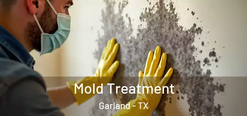  Mold Treatment Garland - TX