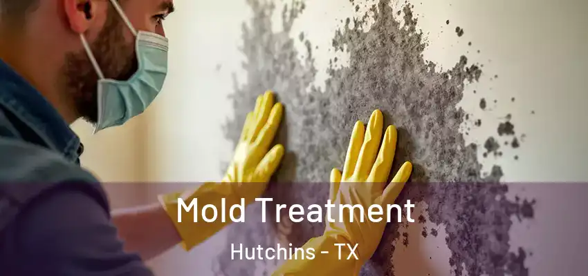  Mold Treatment Hutchins - TX