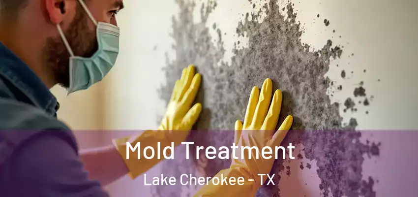  Mold Treatment Lake Cherokee - TX