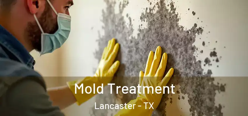 Mold Treatment Lancaster - TX
