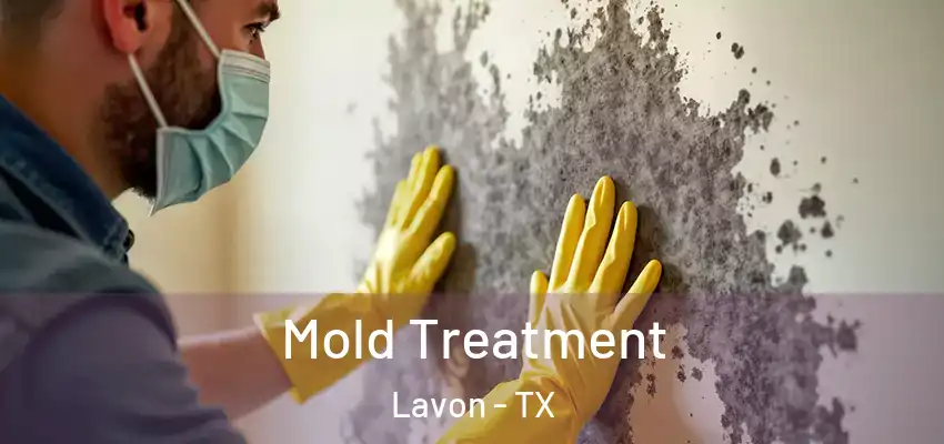  Mold Treatment Lavon - TX