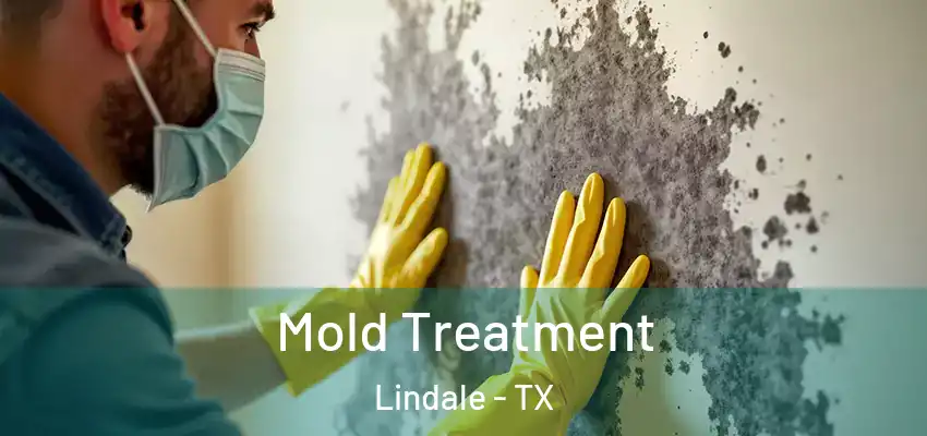  Mold Treatment Lindale - TX