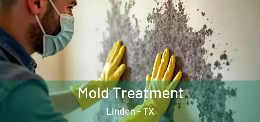 Mold Treatment Linden - TX