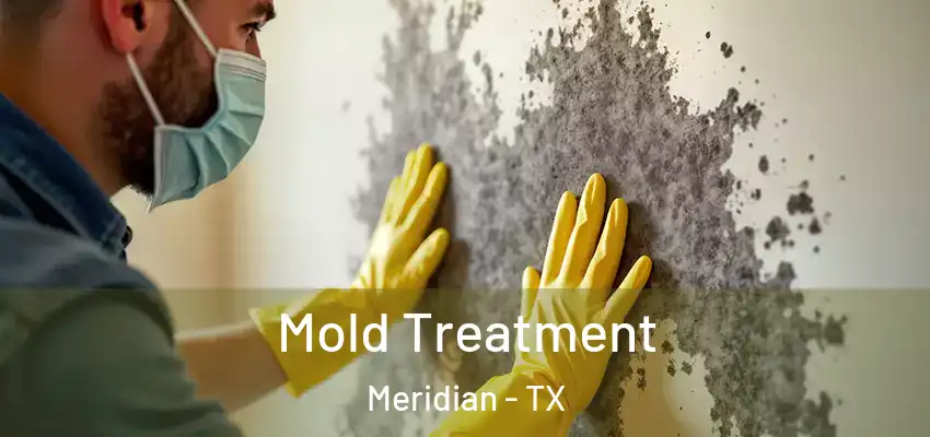 Mold Treatment Meridian - TX