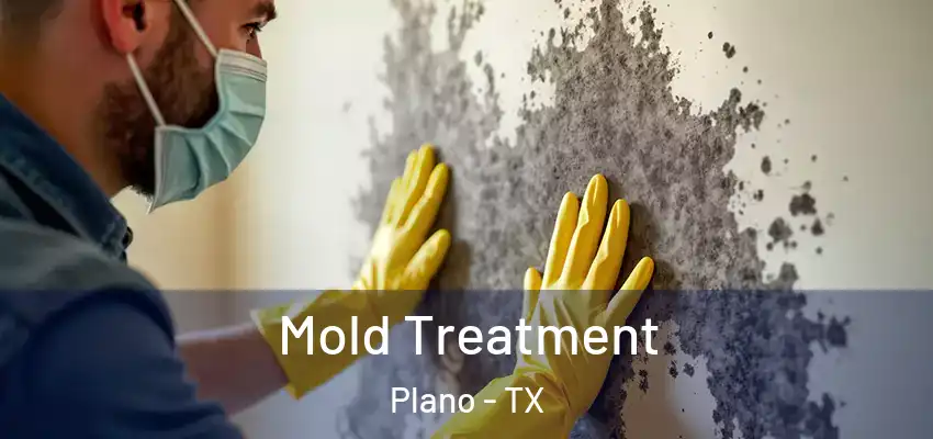  Mold Treatment Plano - TX