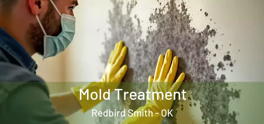 Mold Treatment Redbird Smith - OK