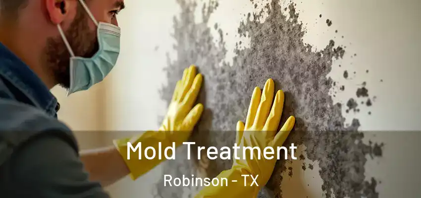  Mold Treatment Robinson - TX