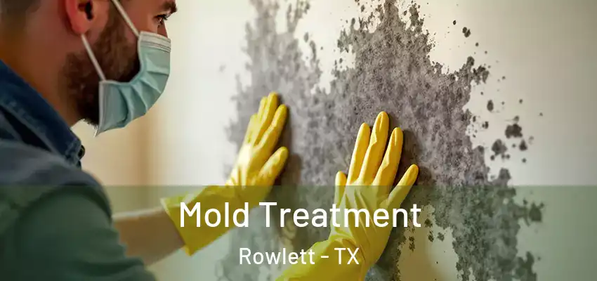 Mold Treatment Rowlett - TX