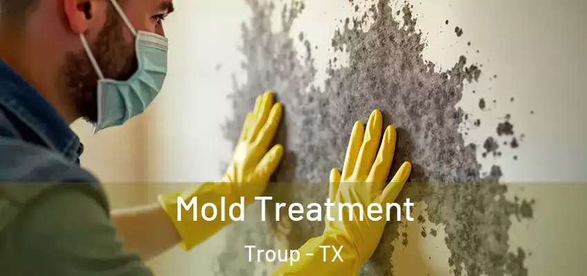 Mold Treatment Troup - TX