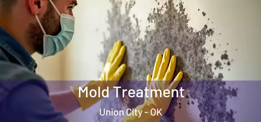  Mold Treatment Union City - OK