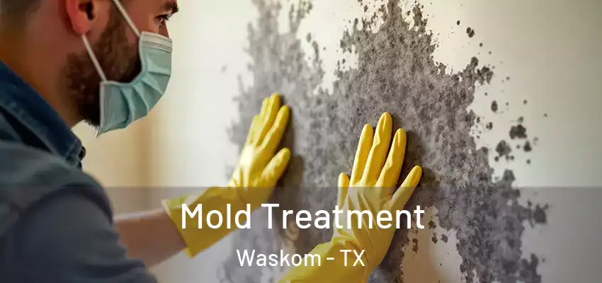 Mold Treatment Waskom - TX