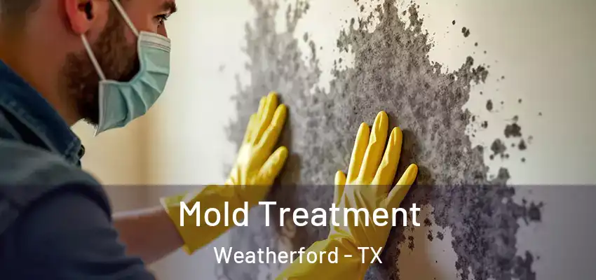  Mold Treatment Weatherford - TX