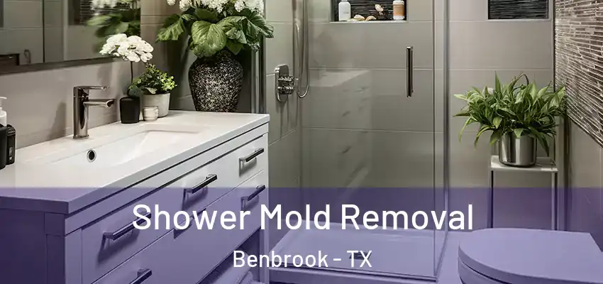 Shower Mold Removal Benbrook - TX