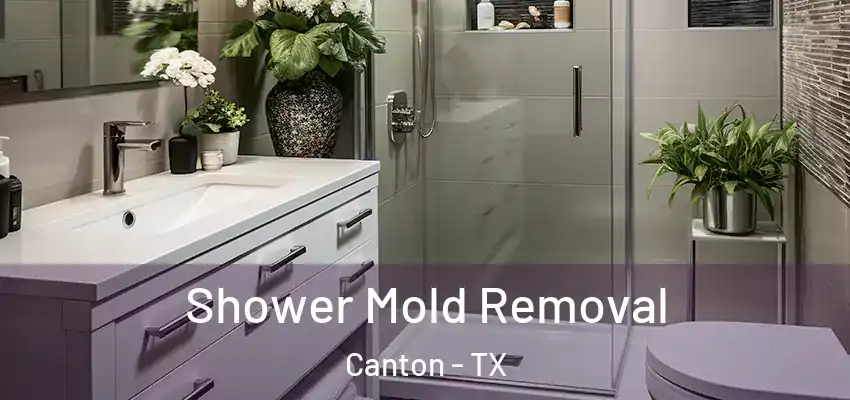 Shower Mold Removal Canton - TX