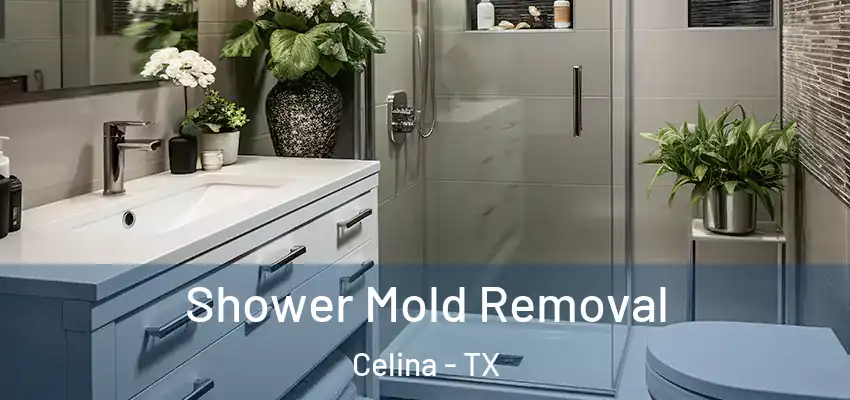  Shower Mold Removal Celina - TX