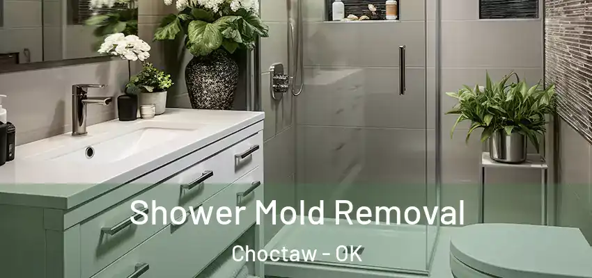 Shower Mold Removal Choctaw - OK