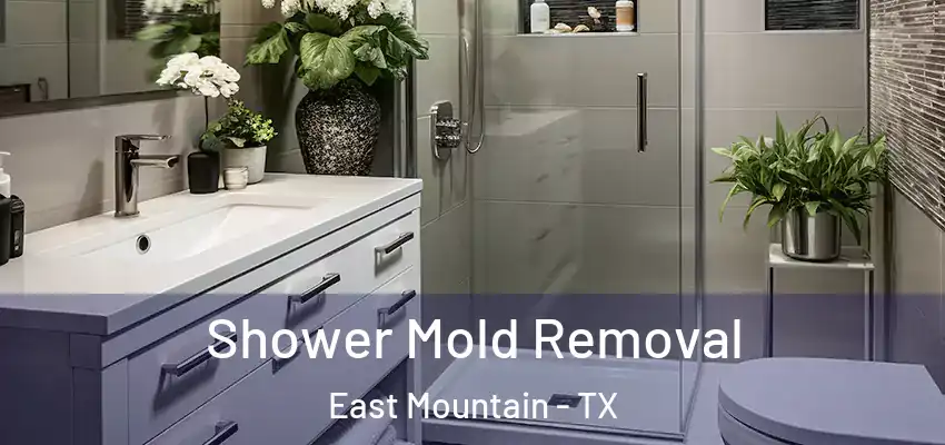  Shower Mold Removal East Mountain - TX