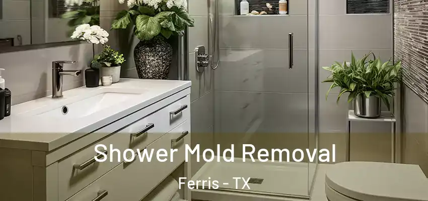 Shower Mold Removal Ferris - TX