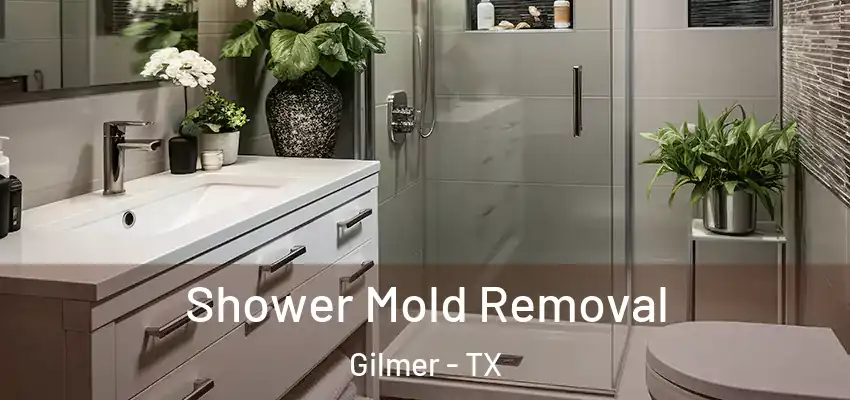 Shower Mold Removal Gilmer - TX