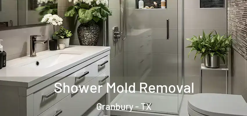 Shower Mold Removal Granbury - TX