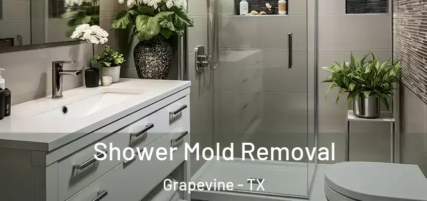  Shower Mold Removal Grapevine - TX