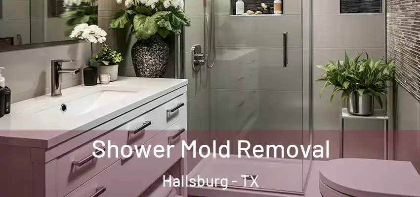 Shower Mold Removal Hallsburg - TX