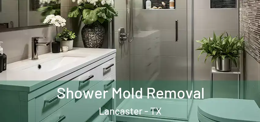 Shower Mold Removal Lancaster - TX