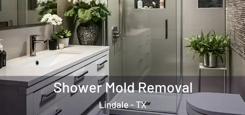 Shower Mold Removal Lindale - TX