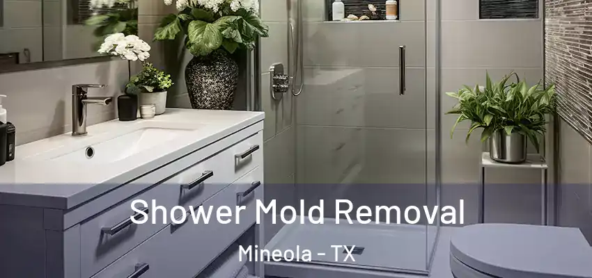Shower Mold Removal Mineola - TX