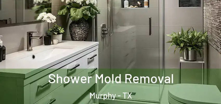  Shower Mold Removal Murphy - TX