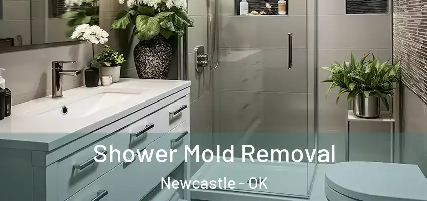  Shower Mold Removal Newcastle - OK