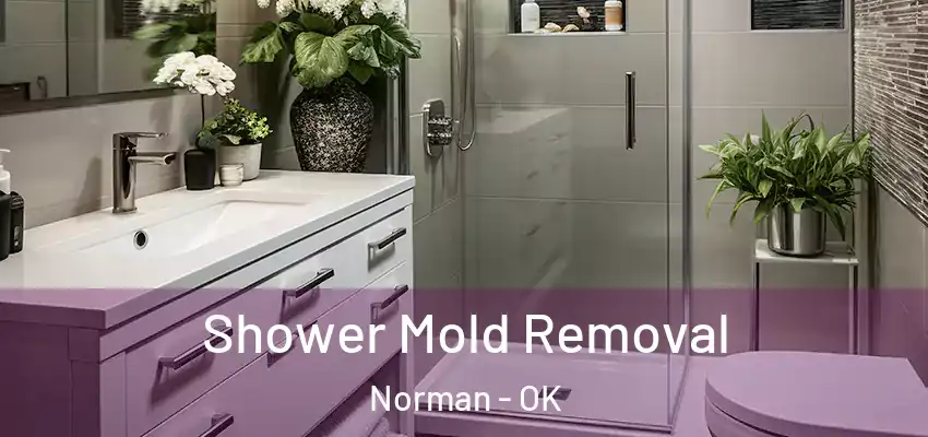 Shower Mold Removal Norman - OK