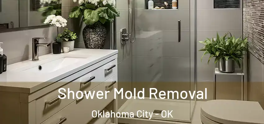  Shower Mold Removal Oklahoma City - OK