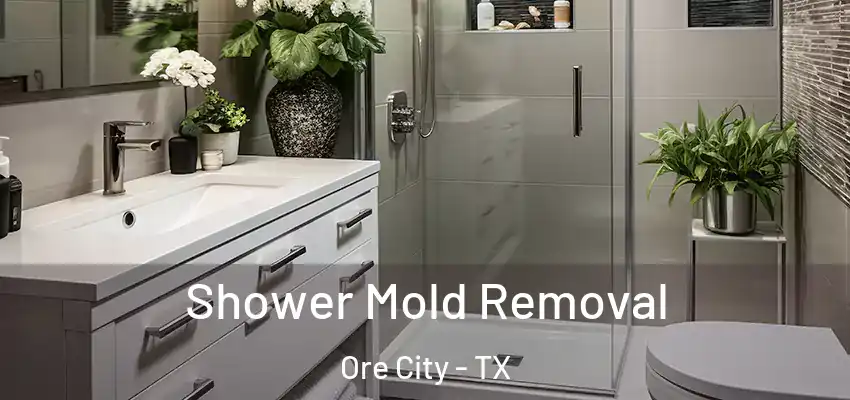  Shower Mold Removal Ore City - TX