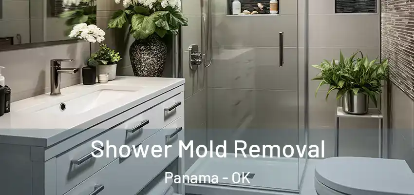 Shower Mold Removal Panama - OK