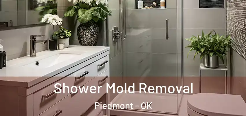  Shower Mold Removal Piedmont - OK