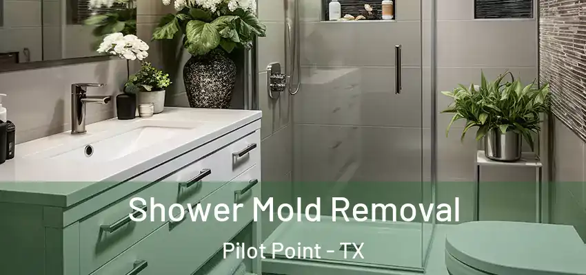 Shower Mold Removal Pilot Point - TX