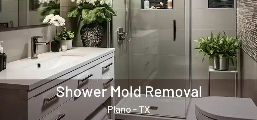  Shower Mold Removal Plano - TX