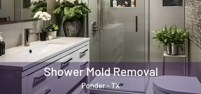 Shower Mold Removal Ponder - TX