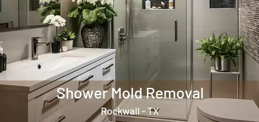 Shower Mold Removal Rockwall - TX