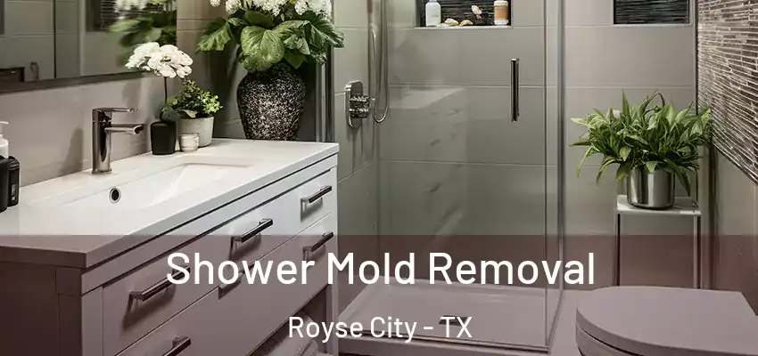 Shower Mold Removal Royse City - TX