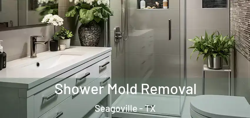 Shower Mold Removal Seagoville - TX