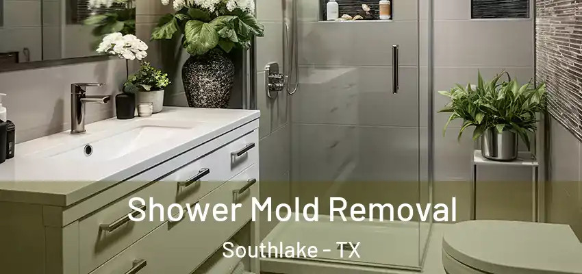  Shower Mold Removal Southlake - TX