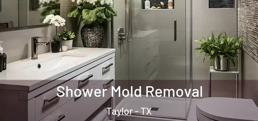 Shower Mold Removal Taylor - TX