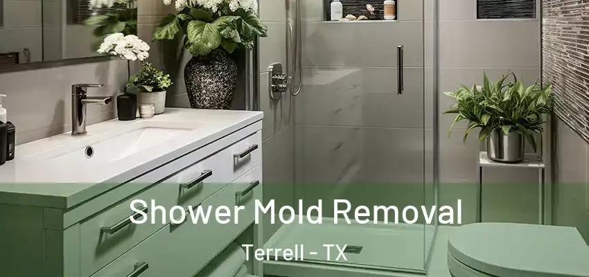 Shower Mold Removal Terrell - TX