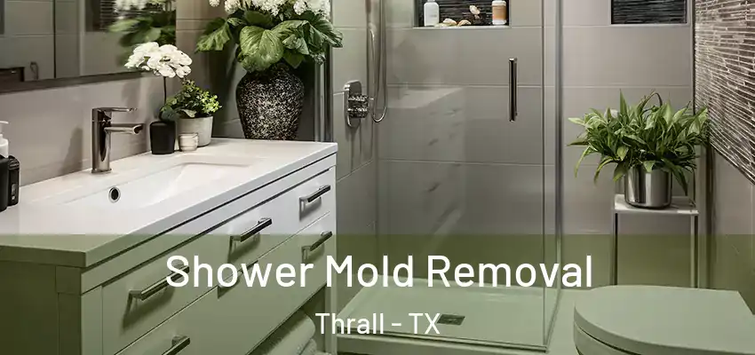  Shower Mold Removal Thrall - TX
