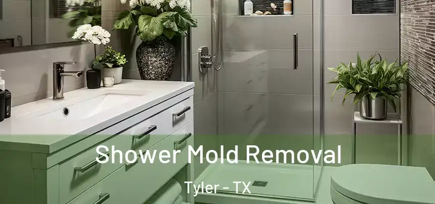 Shower Mold Removal Tyler - TX