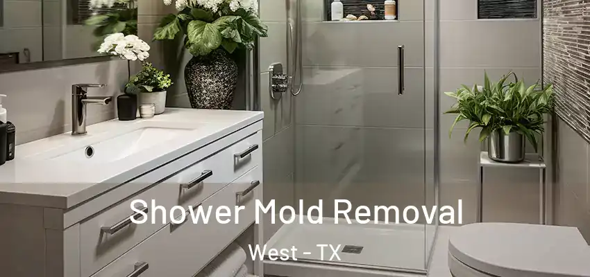Shower Mold Removal West - TX