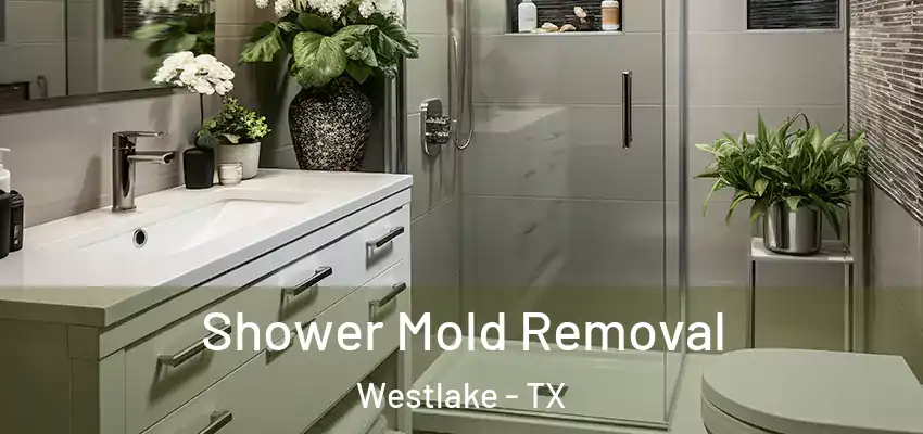 Shower Mold Removal Westlake - TX
