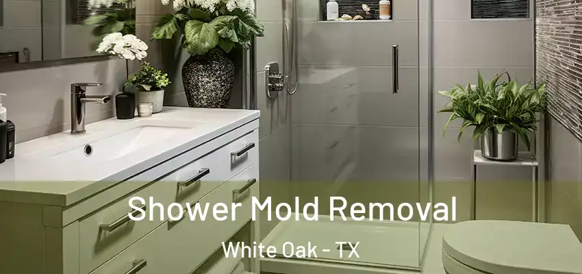 Shower Mold Removal White Oak - TX